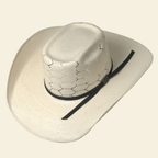 Outback King | Drafter | Para Panama | Hexagon
